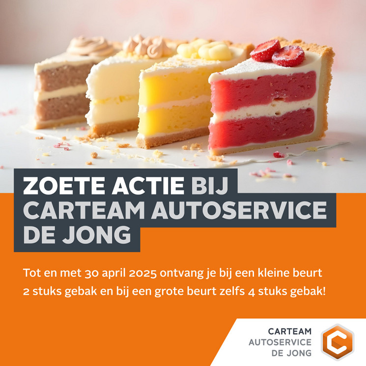 Carteam Autoservice de Jong